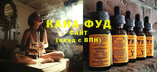 амф Протвино