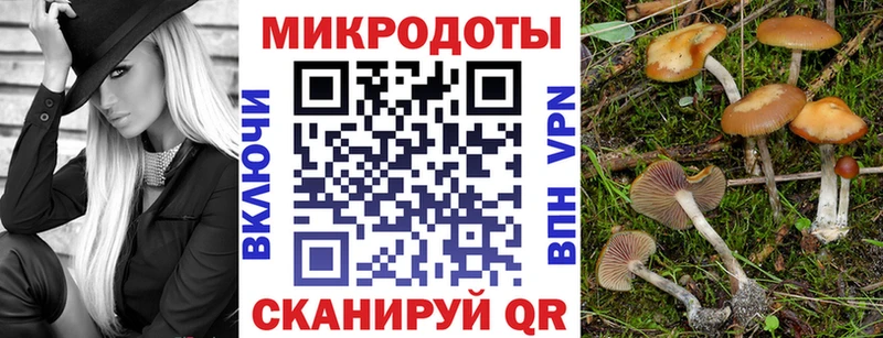 дарк нет формула Мураши Галлюциногенные грибы мухоморы как найти