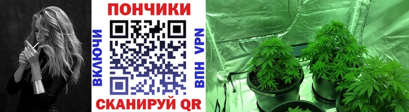 цена наркотик  Мураши  Конопля VHQ 